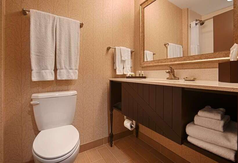 فندق Best Western Plus Dayton