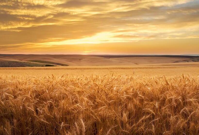 فندق Best Western Plus Dayton