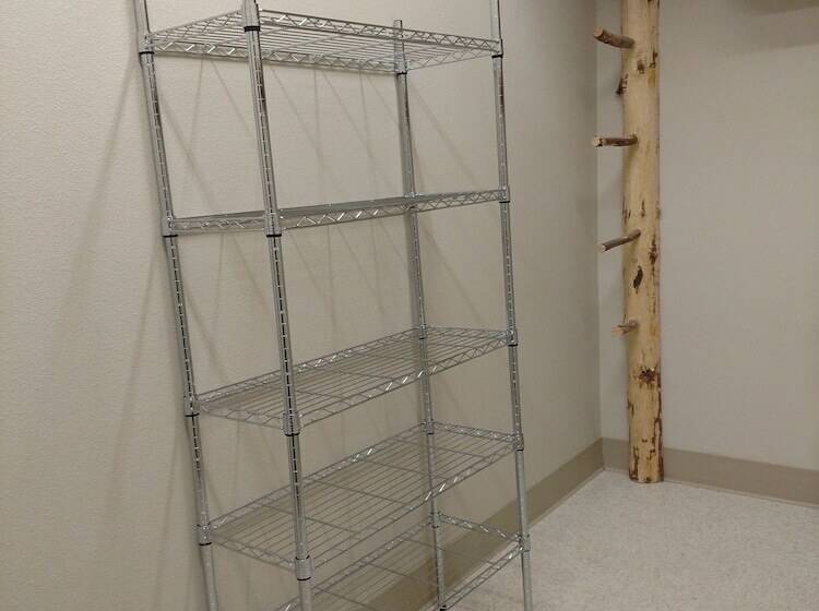 فندق Best Western Plus Dayton