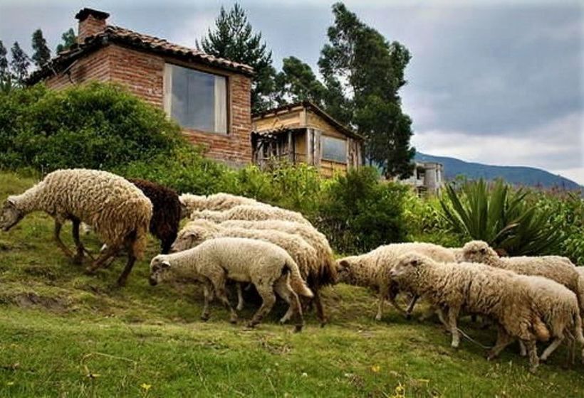 Cabañas Y Glampings Balcon Del Lago