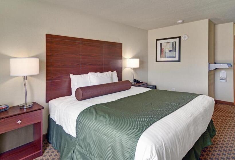 בית מלון כפרי Cobblestone Inn & Suites   Big Lake