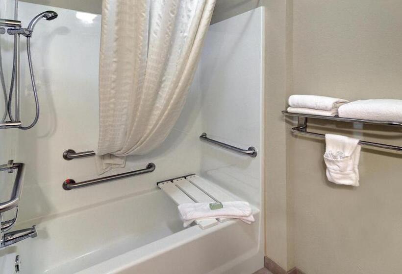 בית מלון כפרי Cobblestone Inn & Suites   Big Lake