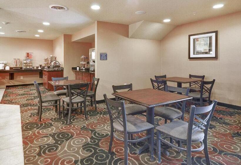 בית מלון כפרי Cobblestone Inn & Suites   Big Lake