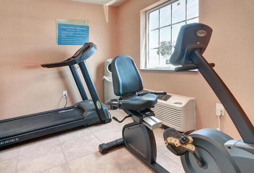 호텔 Cobblestone Inn & Suites   Big Lake