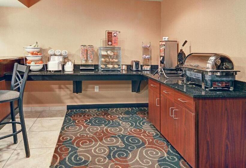 בית מלון כפרי Cobblestone Inn & Suites   Big Lake