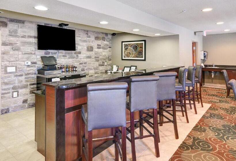 호텔 Cobblestone Inn & Suites   Big Lake