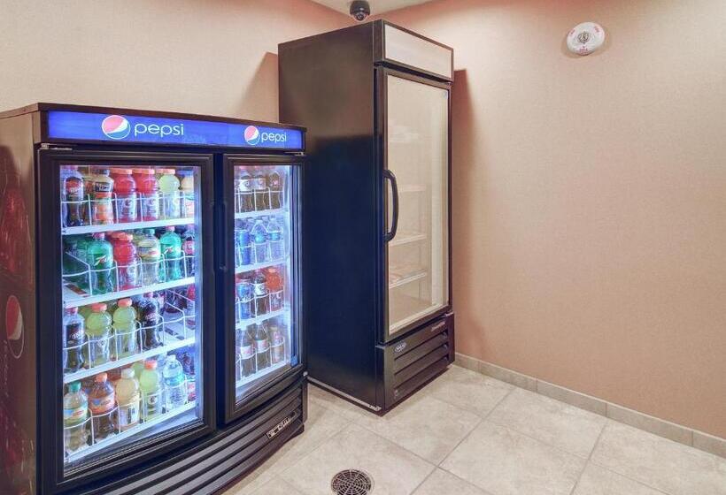 בית מלון כפרי Cobblestone Inn & Suites   Big Lake