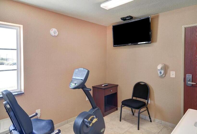 בית מלון כפרי Cobblestone Inn & Suites   Big Lake