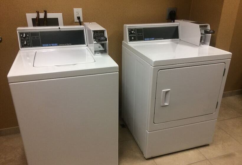 فندق Cobblestone Inn & Suites  Steele