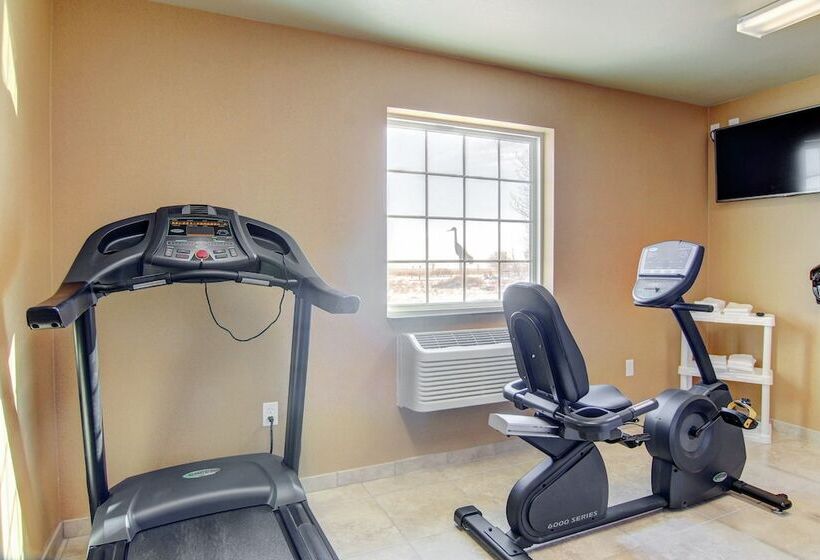 فندق Cobblestone Inn & Suites  Steele