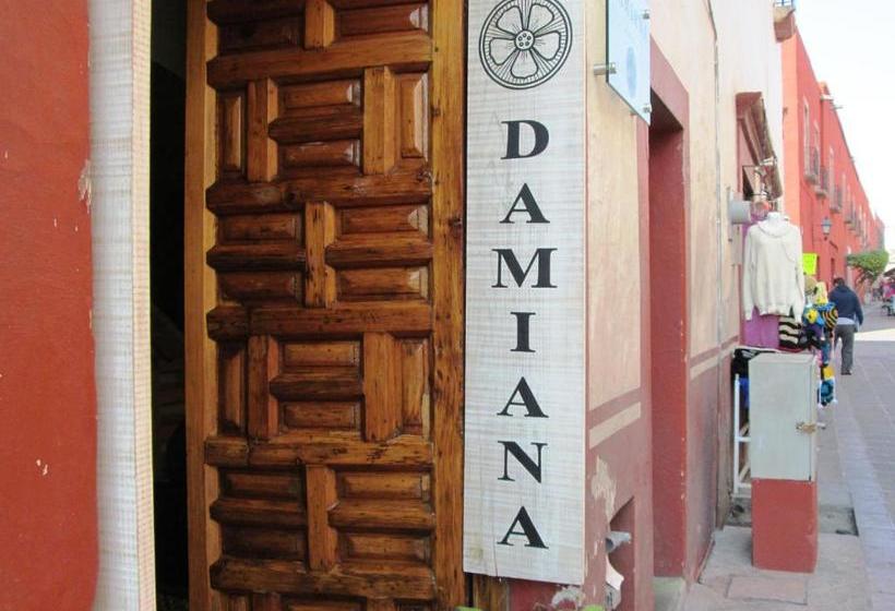 Отель Damiana Boutique