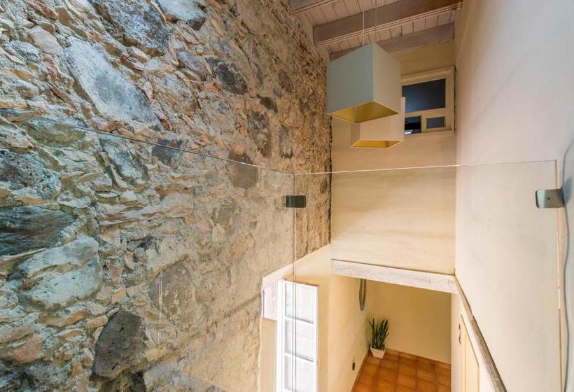 Отель Damiana Boutique