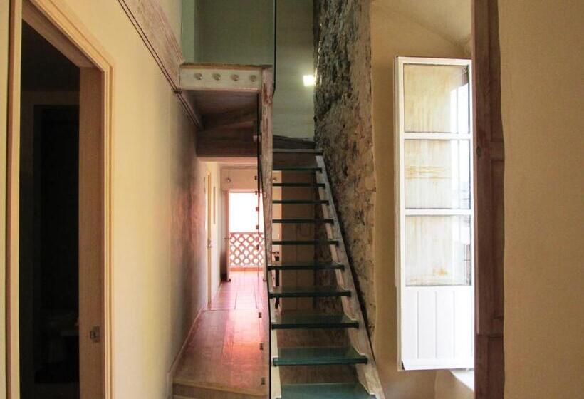 Отель Damiana Boutique