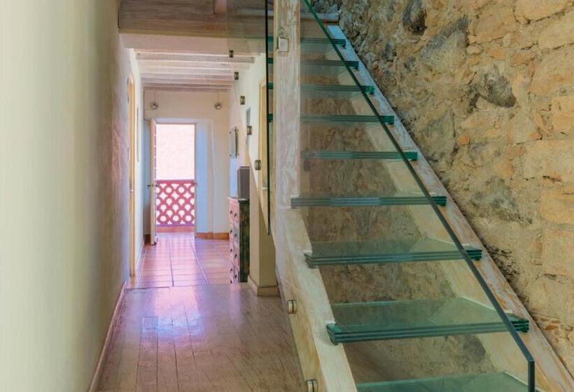 Отель Damiana Boutique