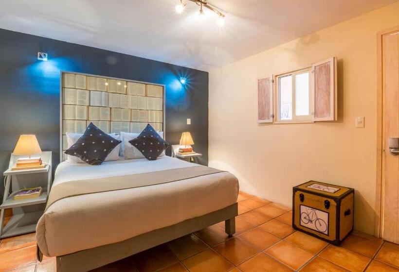 Отель Damiana Boutique