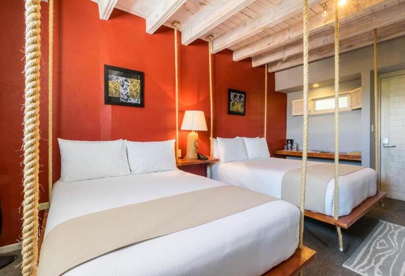 Отель Damiana Boutique