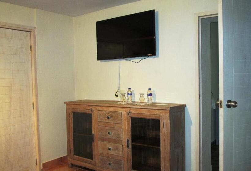 Отель Damiana Boutique