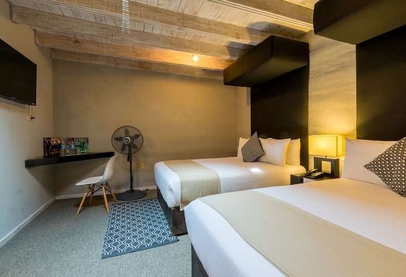 Отель Damiana Boutique