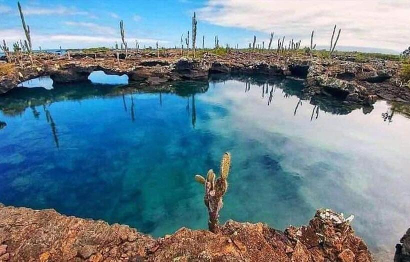 בית מלון כפרי Hospedaje Delfin Azul