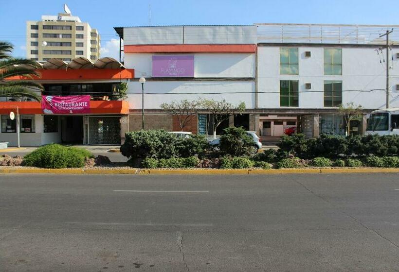 בית מלון כפרי Flamingo Irapuato