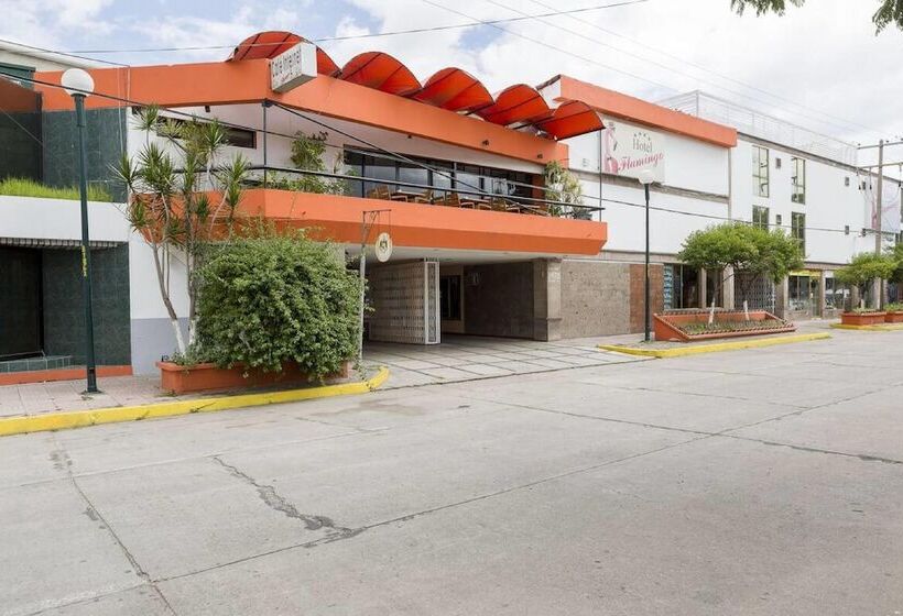 هتل Flamingo Irapuato