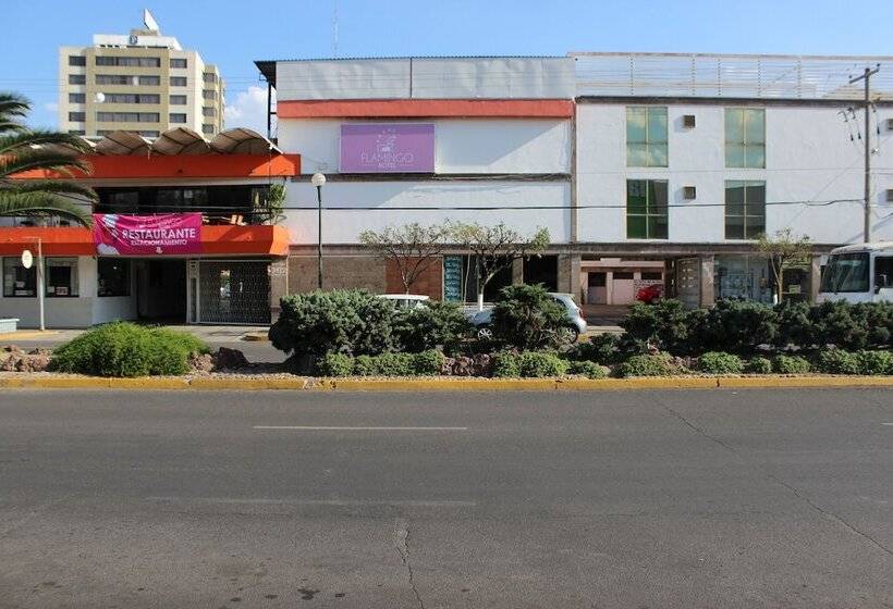 هتل Flamingo Irapuato