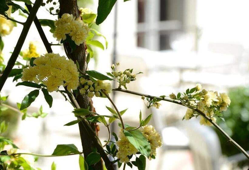 ホテル Grand Hôtel Henri   Teritoria