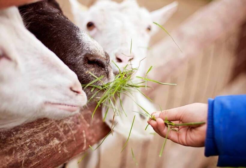 هتل Holiday Inn Kuwait Al Thuraya City, An Ihg