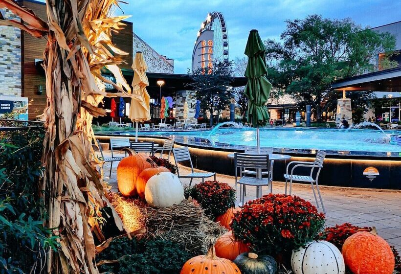 Clarion Hotel The Colony   Plano West