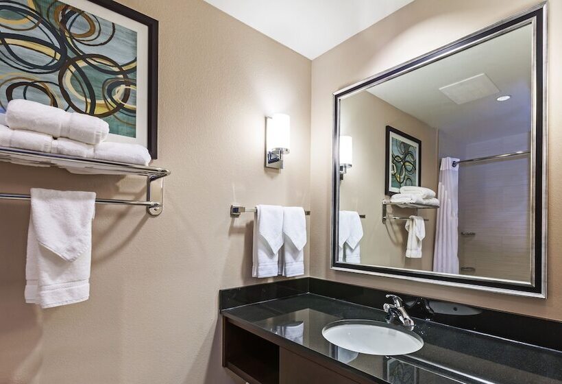 Clarion Hotel The Colony   Plano West