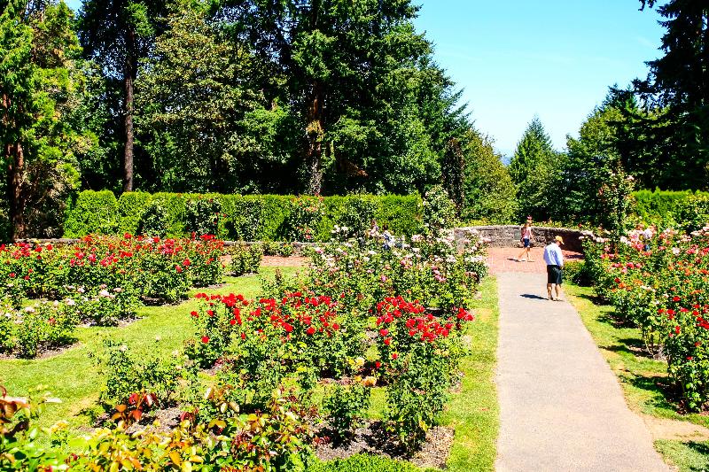 فندق Holiday Inn Portland West   Hillsboro, An Ihg