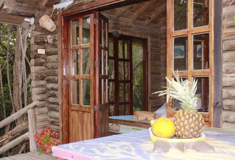 酒店 Isla Palma Playa Y Ecohabs