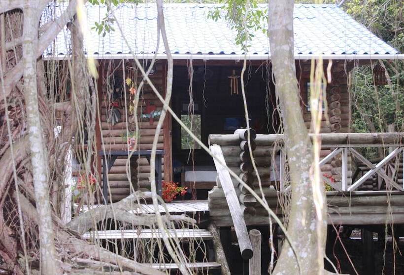 酒店 Isla Palma Playa Y Ecohabs