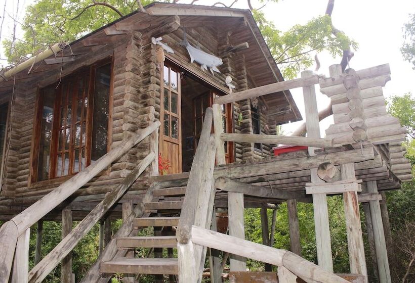 酒店 Isla Palma Playa Y Ecohabs