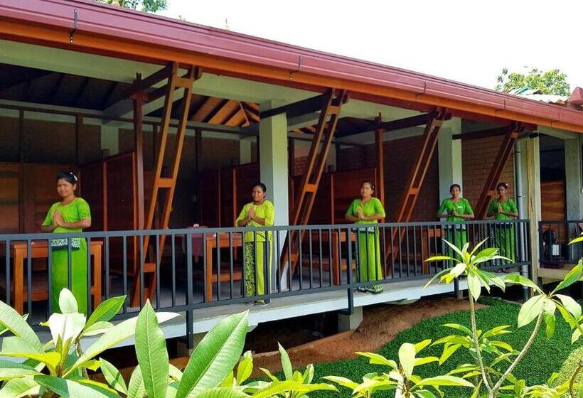 Отель Karunakarala Ayurveda Resort