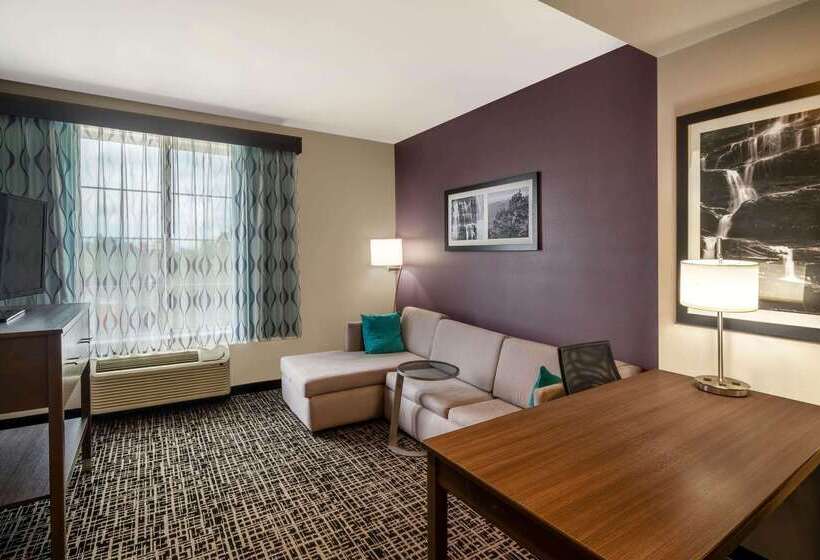 酒店 La Quinta By Wyndham Chattanooga Lookout Mtn