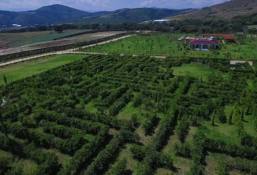 ホテル Matea San Isidro