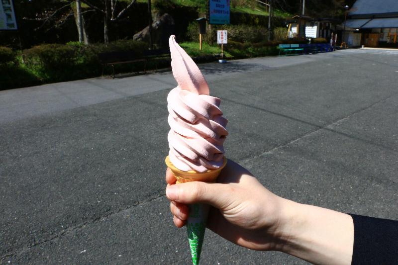 هتل Miyoshino Sakuraan