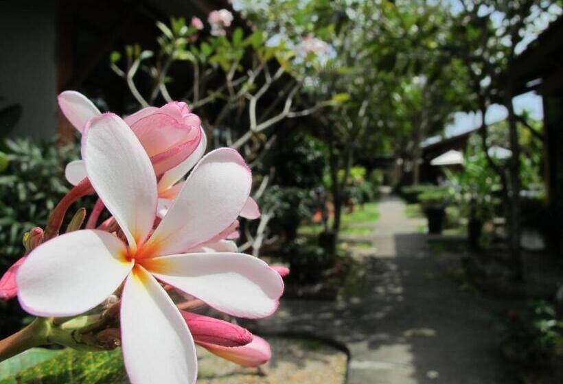 Отель Phuket Siam Villas   Sha Plus