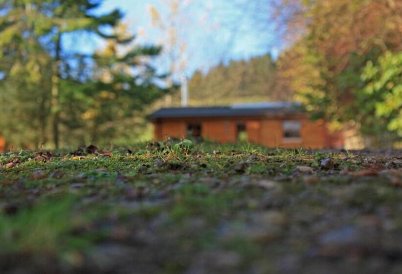 Saplinbrae Hotel And Lodges