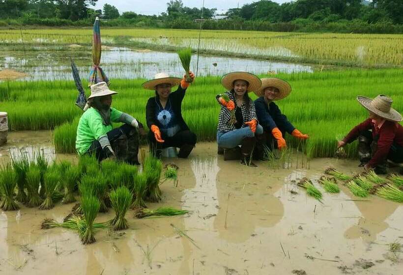 酒店 Sasidara Resort Nan