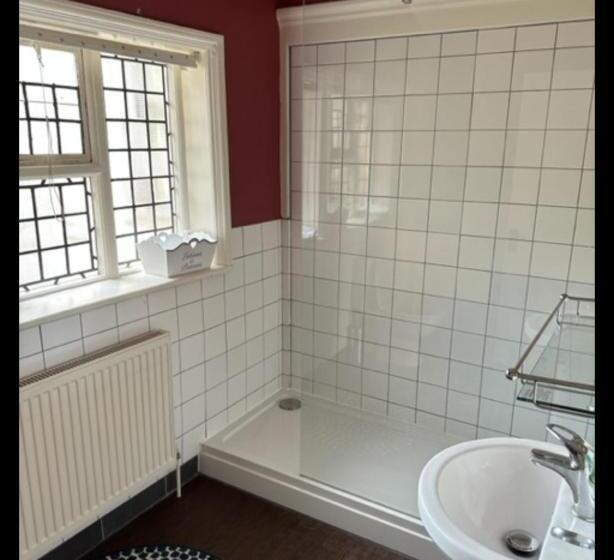 Отель The Lady Elizabeth