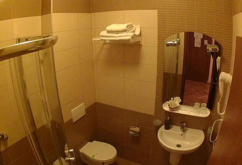 ホテル Pensiunea Fortuna