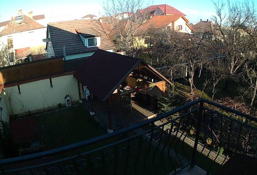 ホテル Pensiunea Fortuna