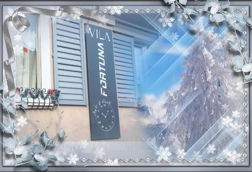 ホテル Pensiunea Fortuna