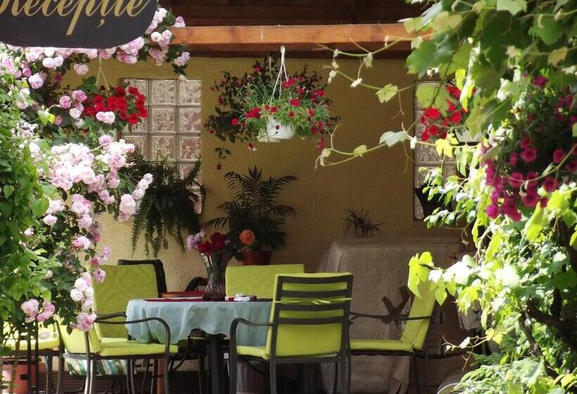 ホテル Pensiunea Fortuna