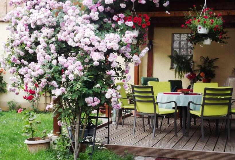 ホテル Pensiunea Fortuna