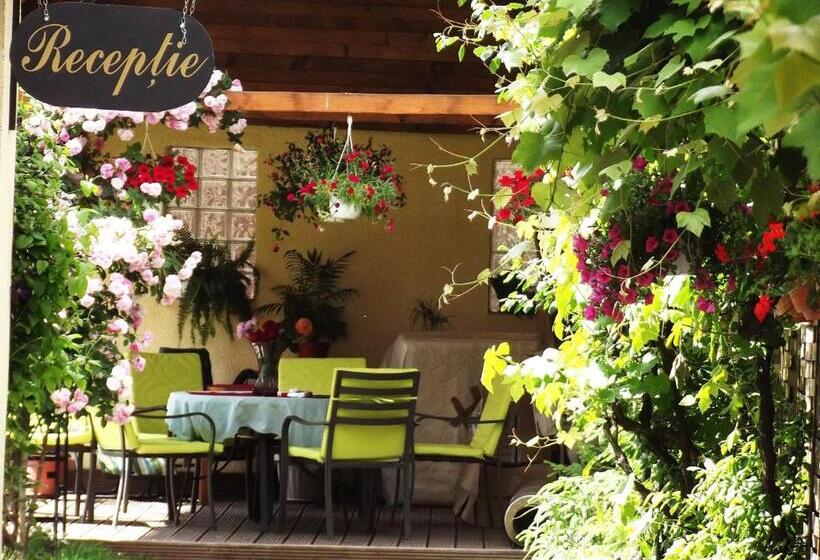 ホテル Pensiunea Fortuna