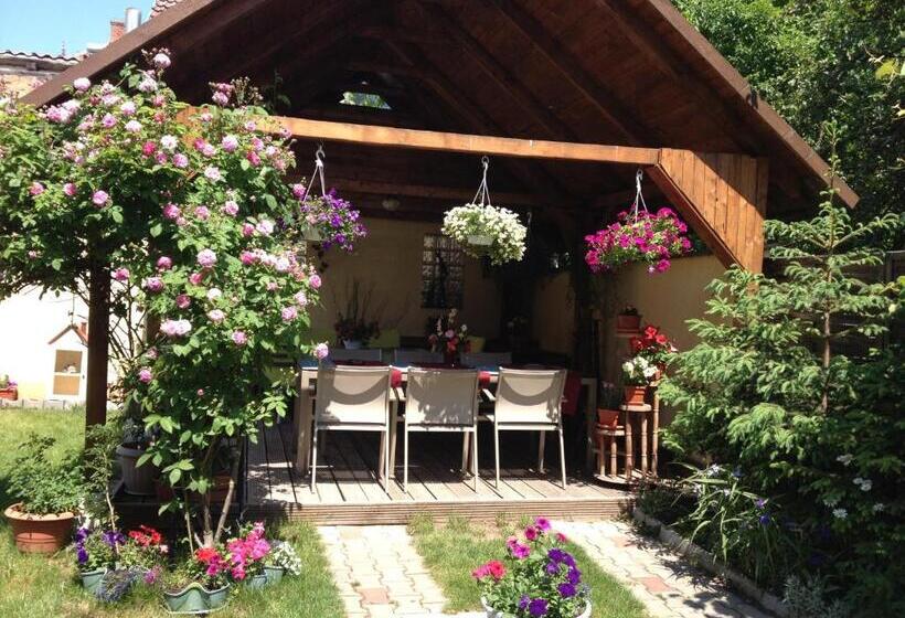 ホテル Pensiunea Fortuna