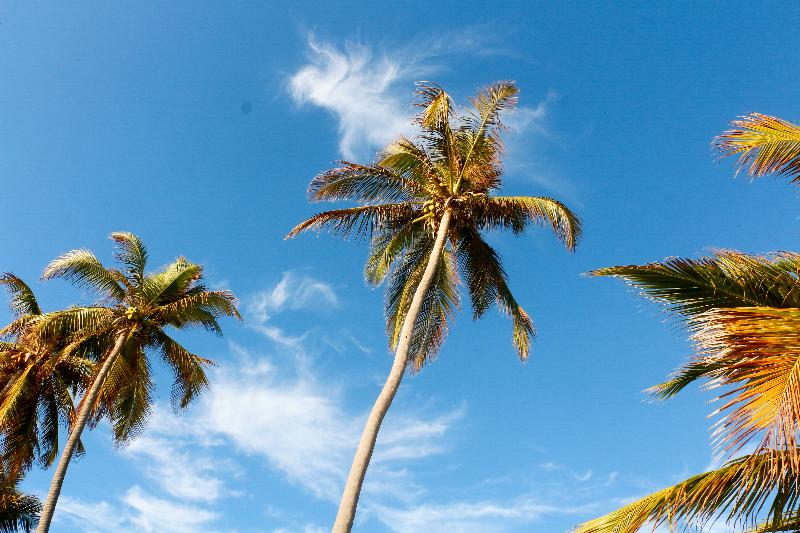 ホテル White Rose Beach